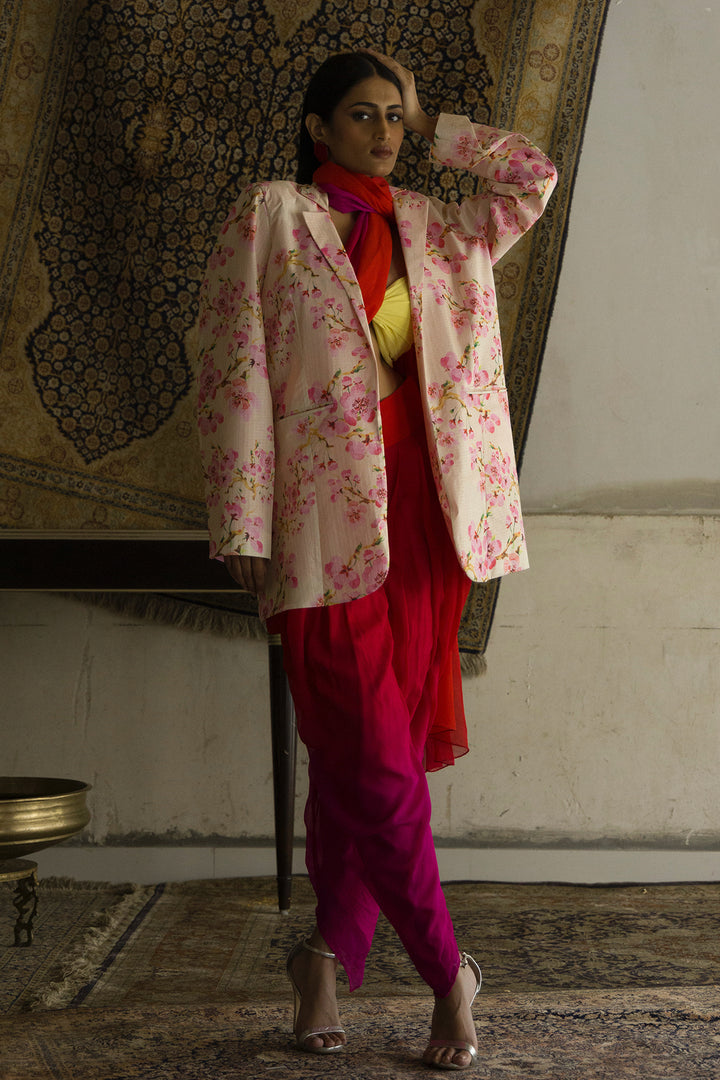 Ombré dhoti pants