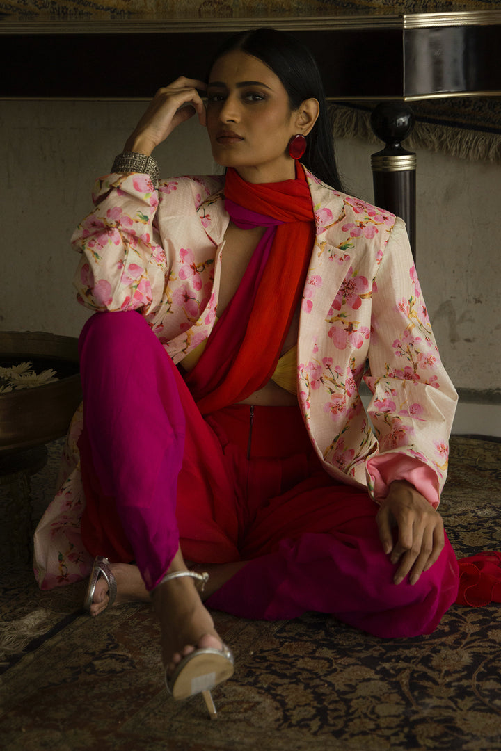 Ombré dhoti pants